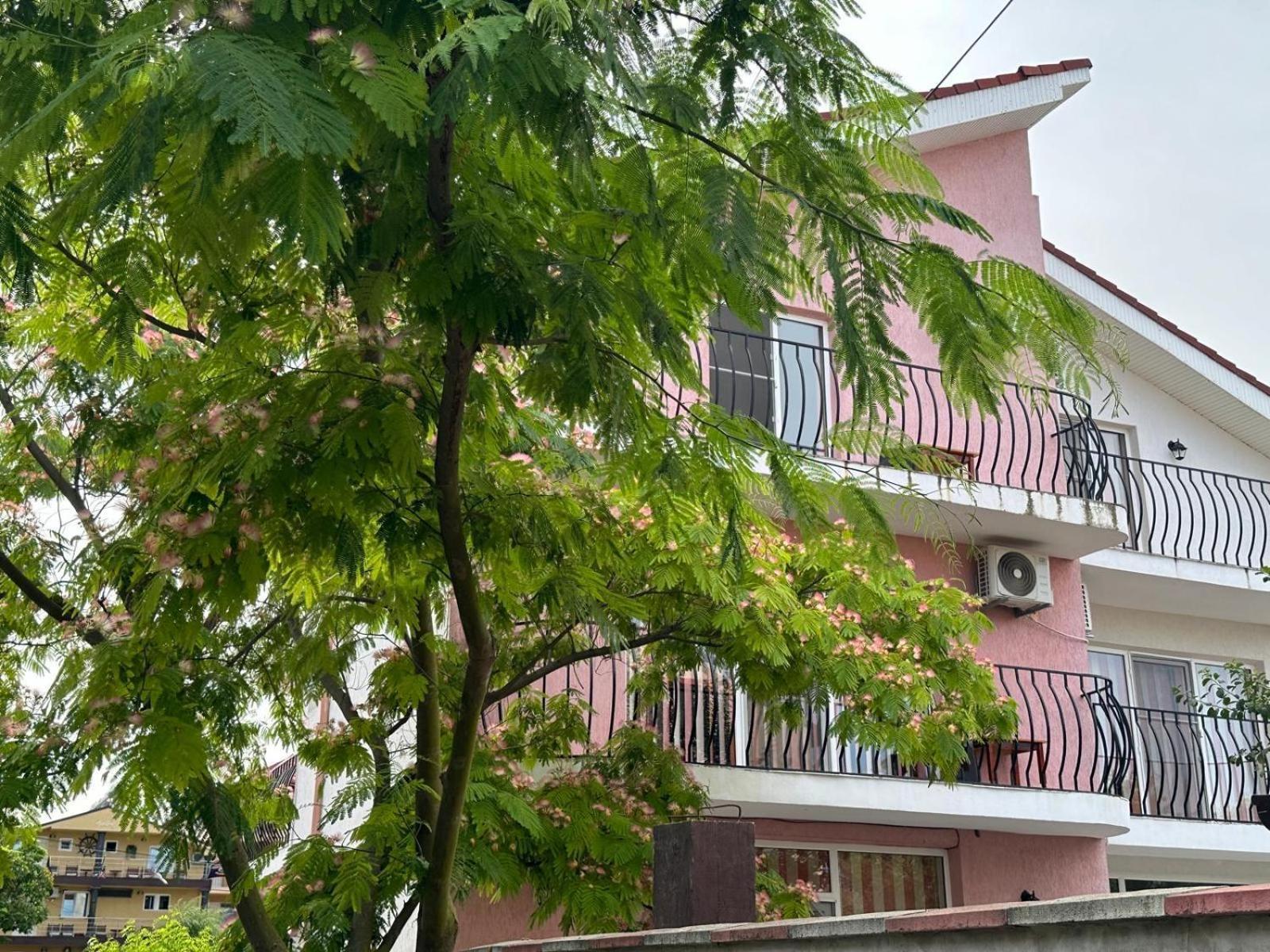 Vila Lucy Costinesti Hotel Buitenkant foto