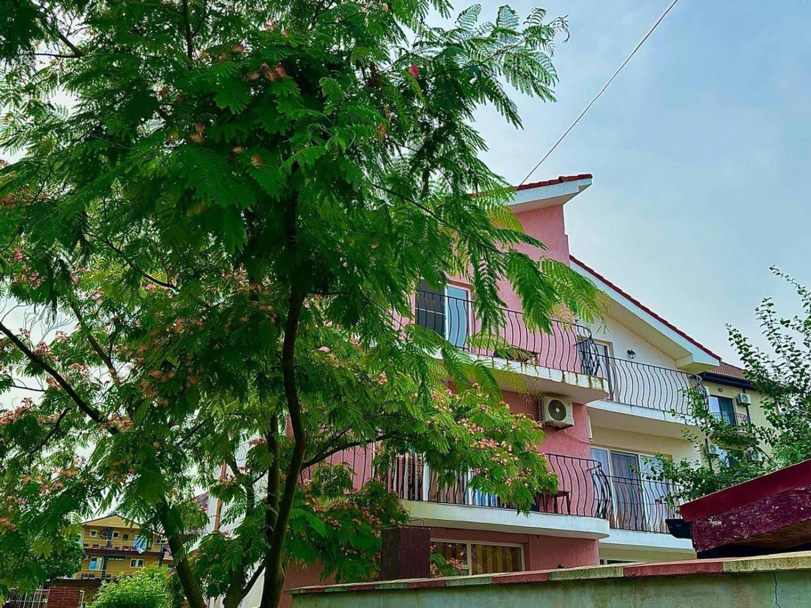 Vila Lucy Costinesti Hotel Buitenkant foto